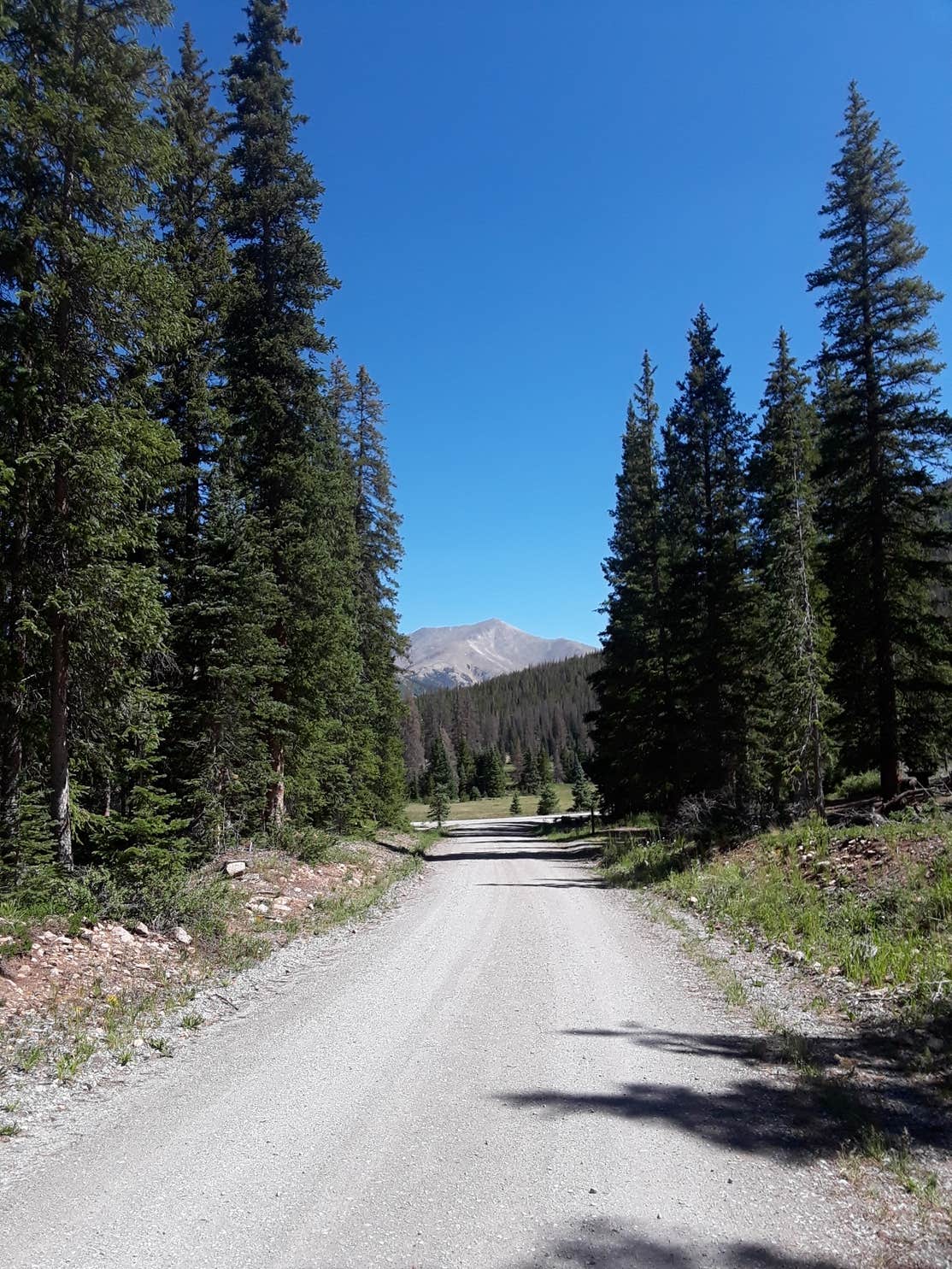 Monarch Park Camping The Dyrt