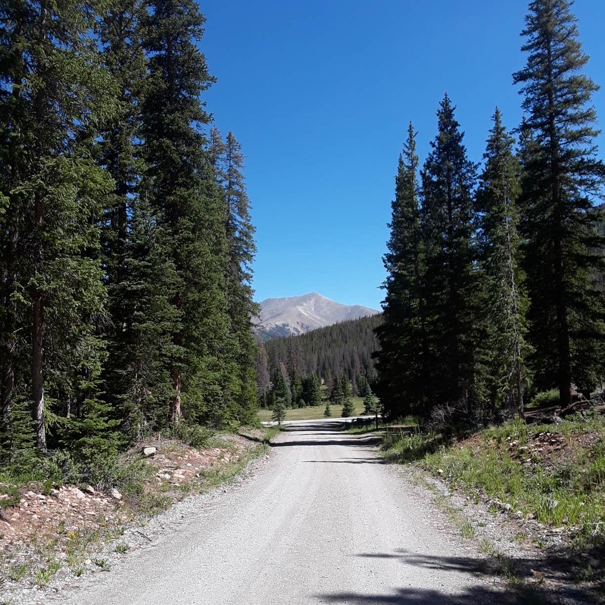 Escape To The Mountains: Your Guide To Colorado’s Monarch Park Campground
