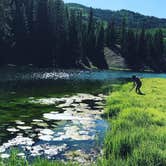 Review photo of Anderson Meadow Campground (fishlake Nf, Ut) by Cresta P., April 12, 2022