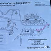 Review photo of Borrego Palm Canyon Campground — Anza-Borrego Desert State Park by Lee D., April 12, 2022