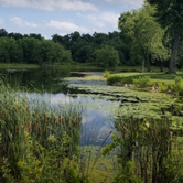 Review photo of Veterans Memorial Park & Campground by GoWhereYouAreDraw N., July 12, 2018