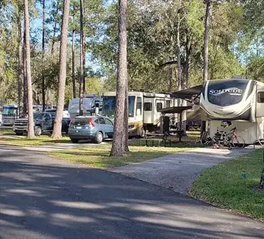 Camper-submitted photo at Camper's Holiday near Odessa, FL