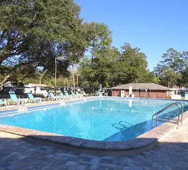 Camper-submitted photo at Camper's Holiday near Odessa, FL