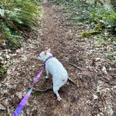 Review photo of Umpqua's Last Resort & Oregon Mountain Guides by Belinda , April 7, 2022