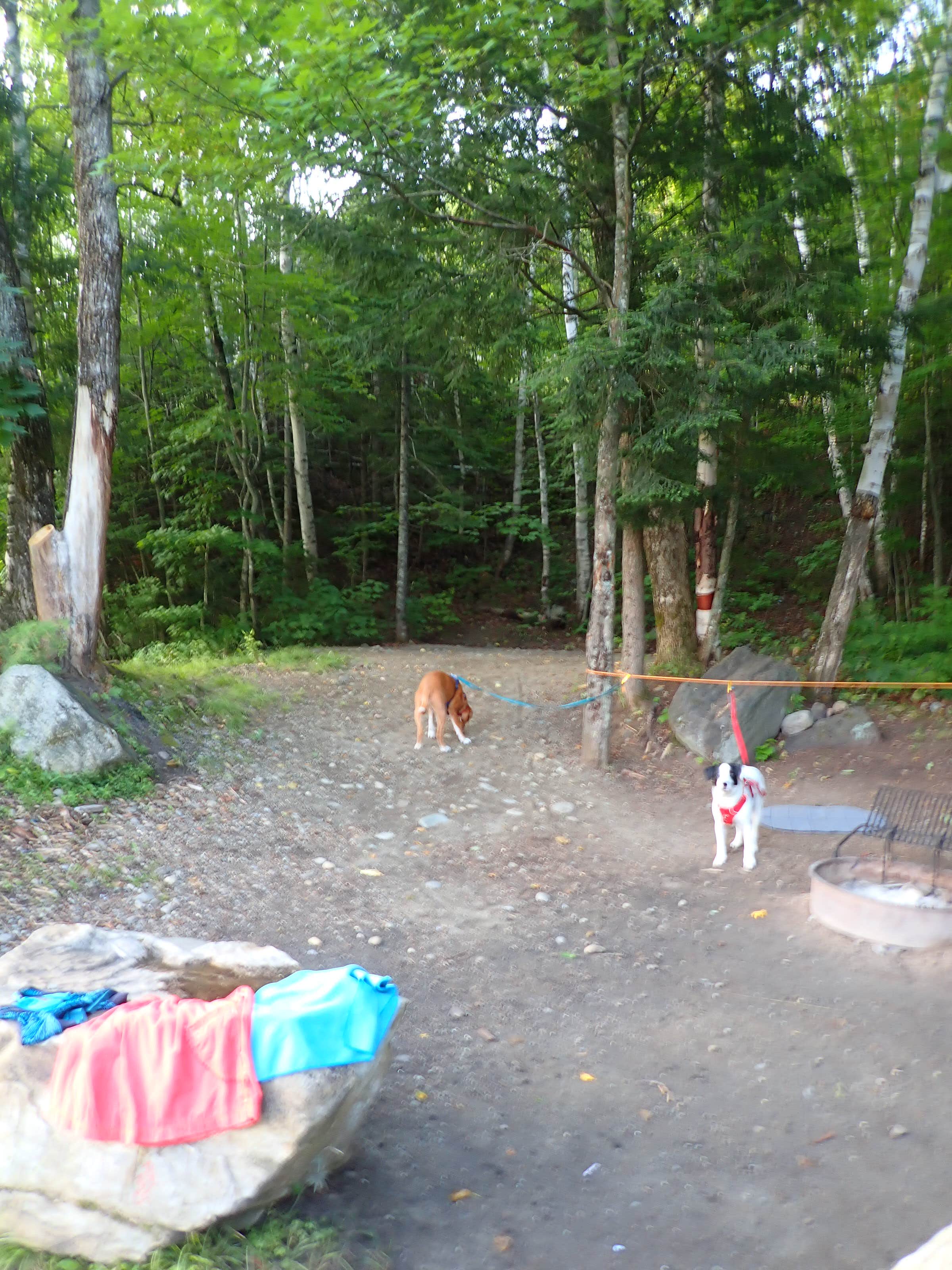 Camper submitted image from Big Eddy - 3