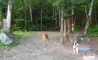 Sarah C.'s photo at Big Eddy near Carrabassett Valley, ME