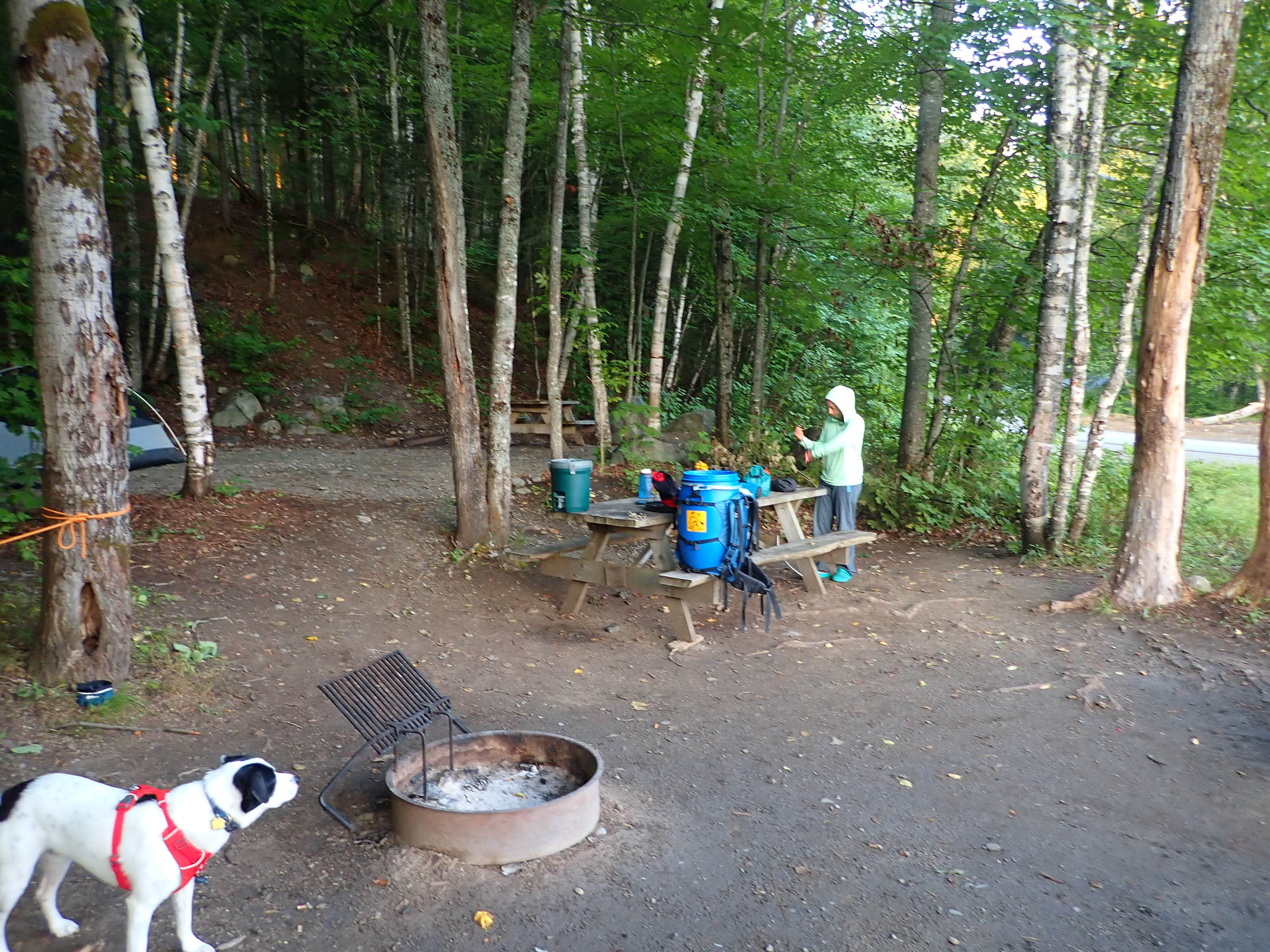 Sarah C.'s photo of camping with pets at Big Eddy near Kingfield, ME