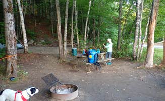 Sarah C.'s photo of camping with pets at Big Eddy in Maine