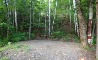 Sarah C.'s photo of camping with pets at Big Eddy near Eustis, ME