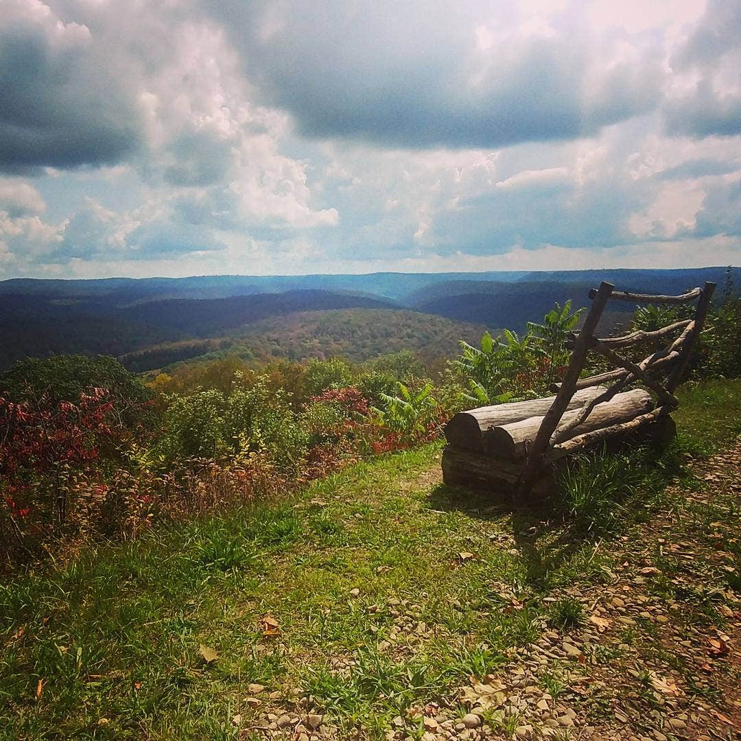 Camper submitted image from Lyman Run State Park Campground - 5