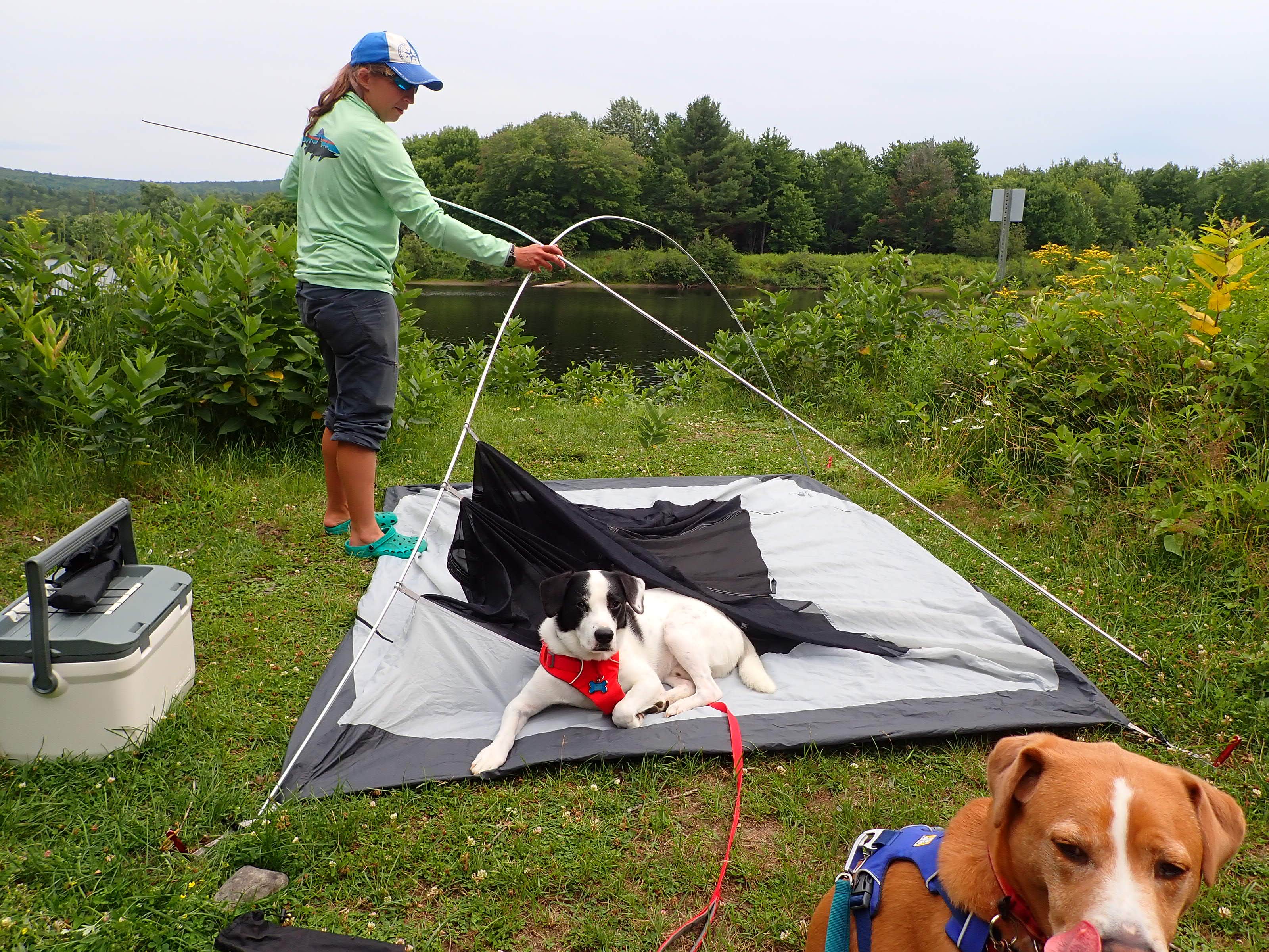 Sarah C.'s photo of a dispersed camping area at Philbrick Landing in Maine