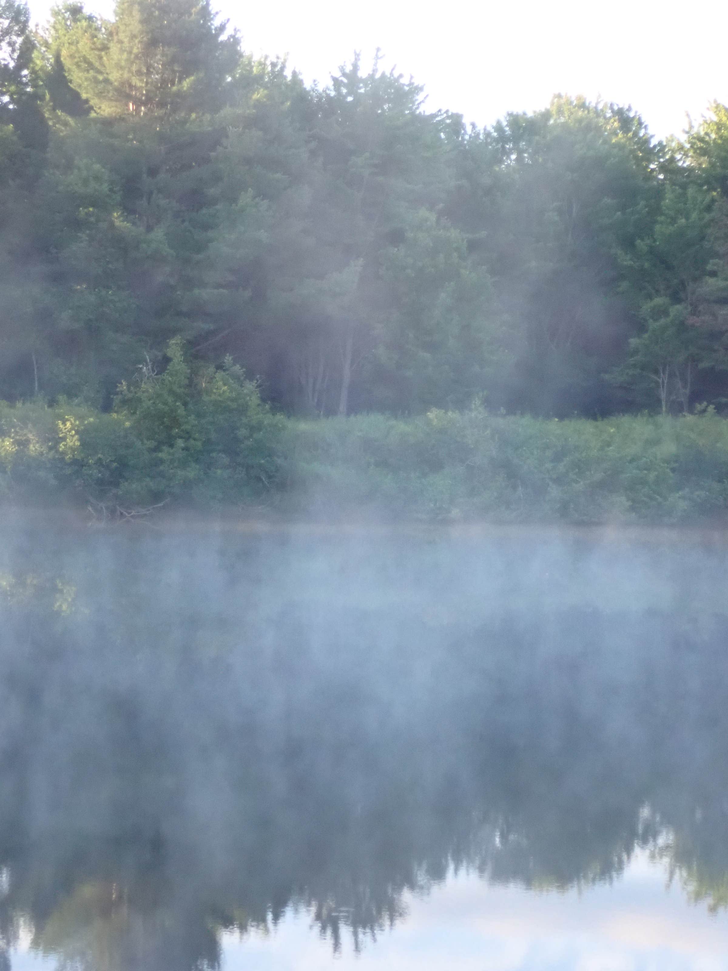 Camper-submitted photo at Philbrick Landing near Madison, ME