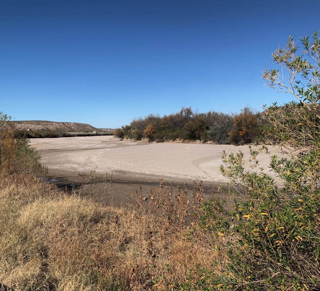 Camper-submitted photo at Horner Hacienda near Hatch, NM