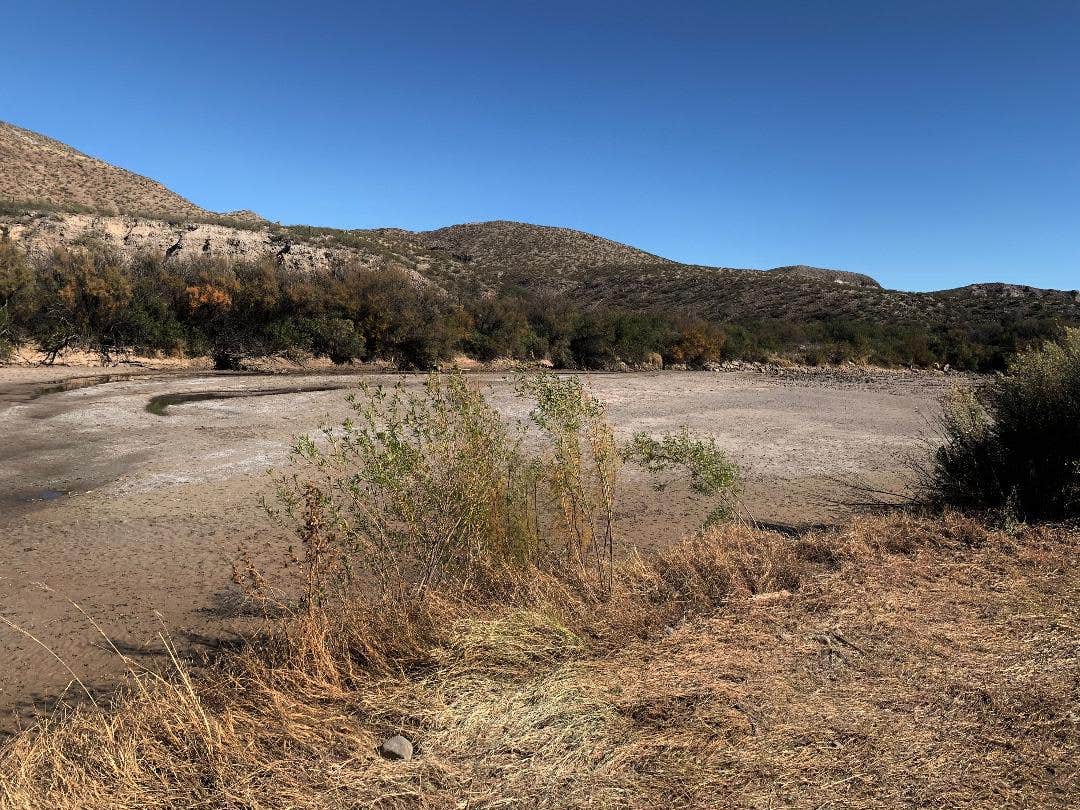 Camper-submitted photo at Horner Hacienda near Hatch, NM