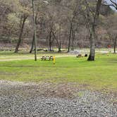 Review photo of New River Campground by Thomas H., April 12, 2022