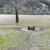 Review photo of New River Campground by Thomas H., April 12, 2022