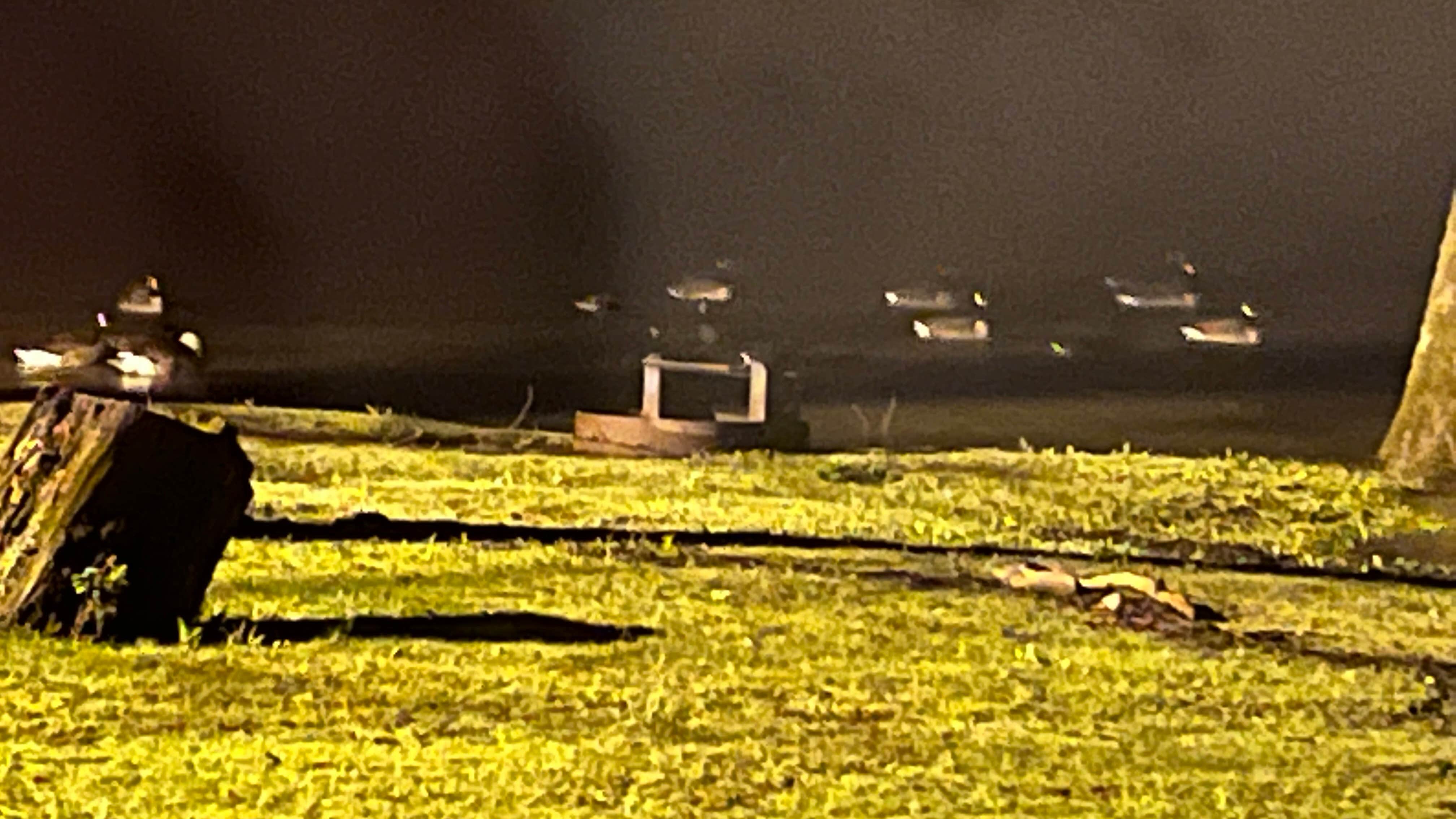 Camper-submitted photo at New River Campground near Charleston, WV