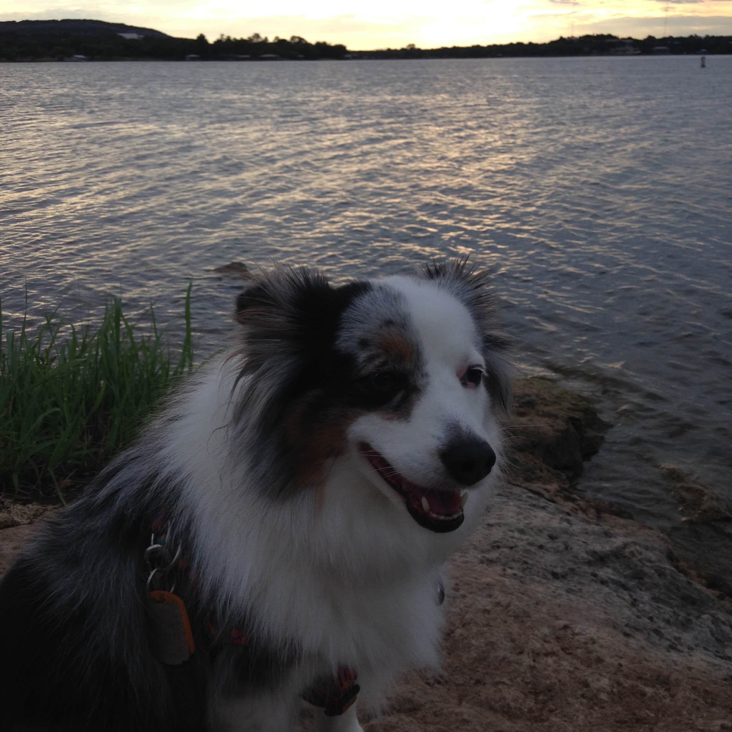 T@Bby & the Caravan Crew's photo of camping with pets at Inks Lake State Park Campground near Johnson City, TX