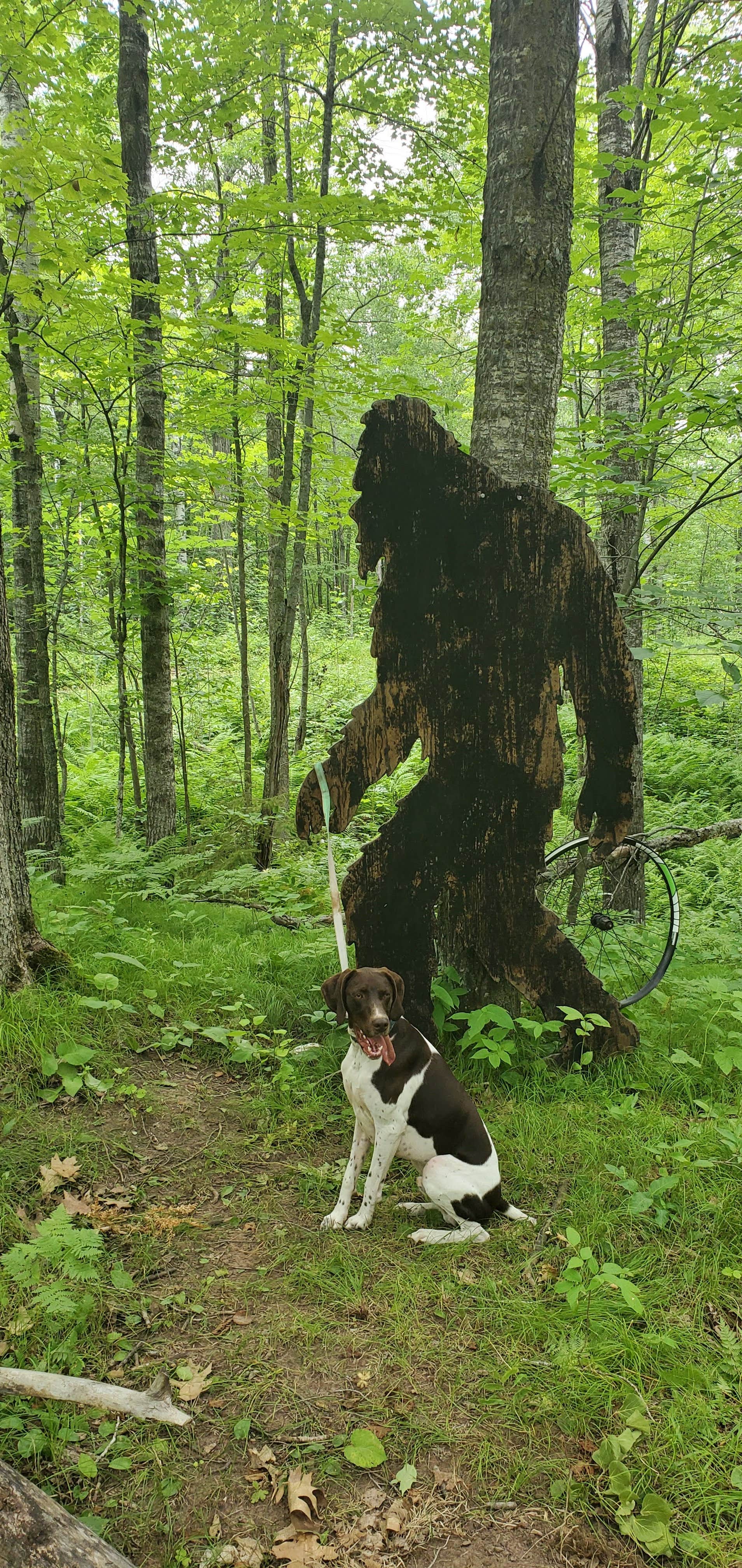 Jeffrey S.'s photo of camping with pets at Spirit Mountain Campground near Duluth, MN