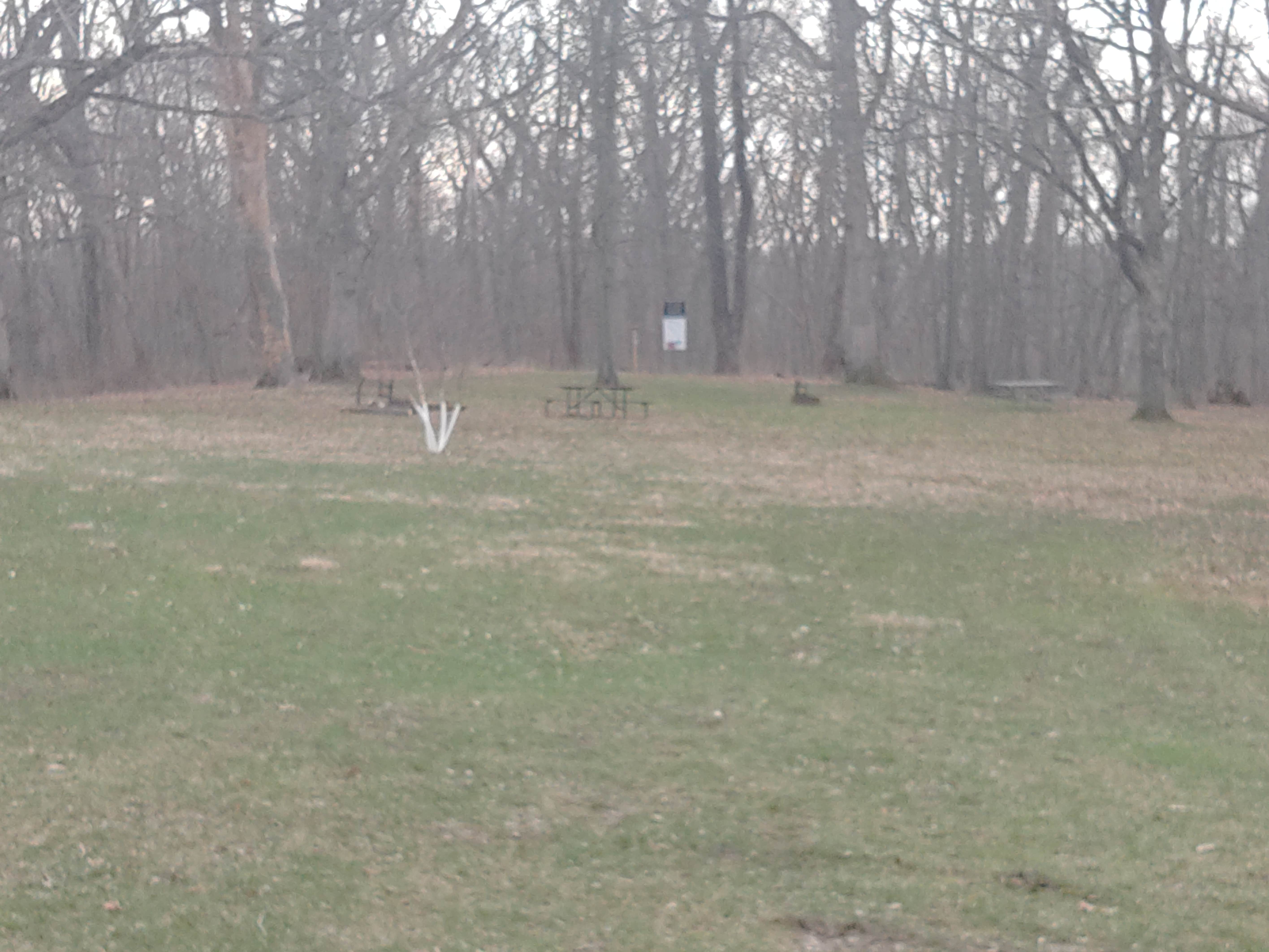 Camper-submitted photo at Cedar Valley Co Park near West Liberty, IA