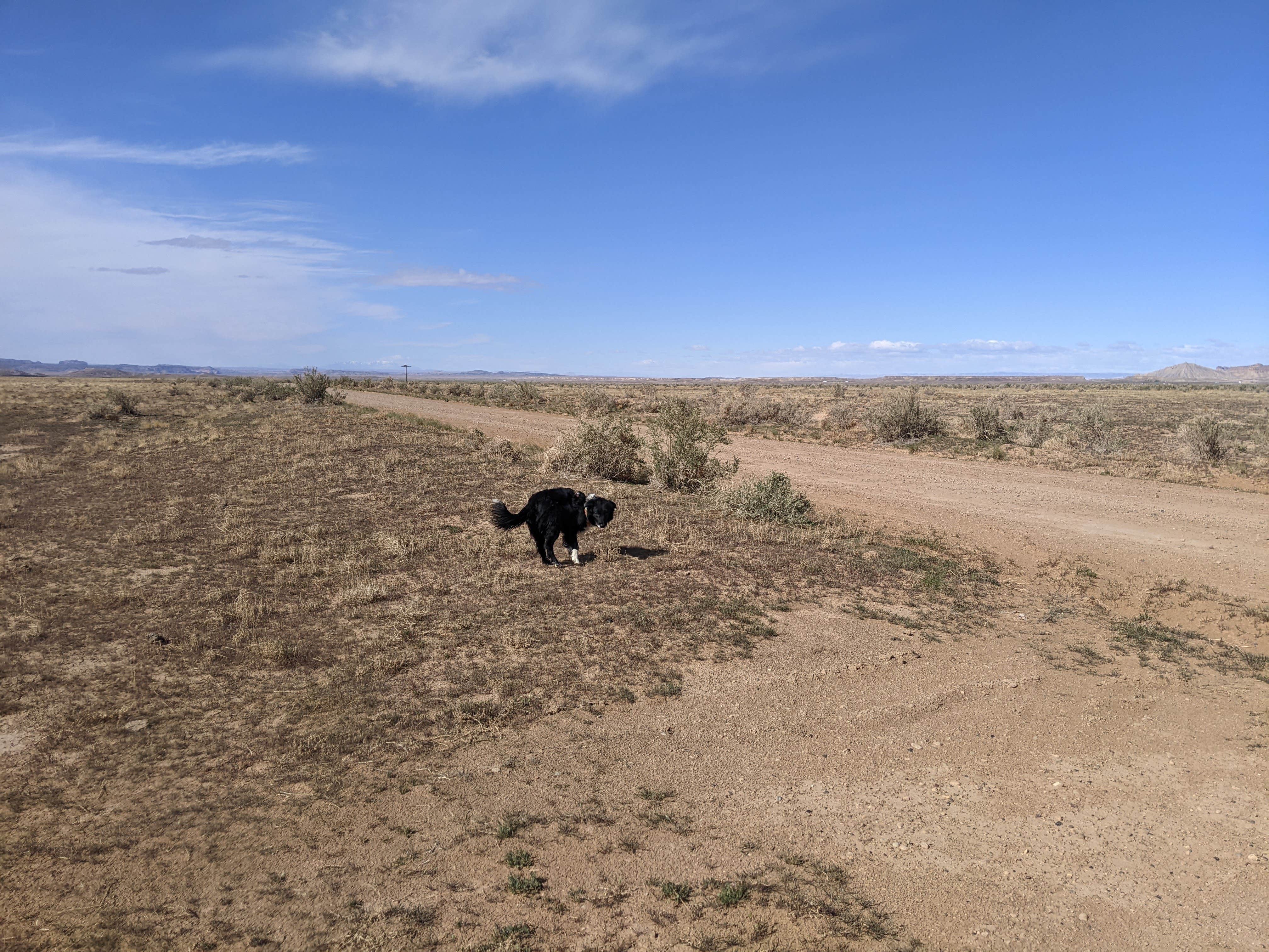 Greg L.'s photo of camping with pets at BLM 144 Dispersed near Green River, UT