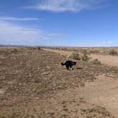 Review photo of BLM 144 Dispersed by Greg L., April 12, 2022