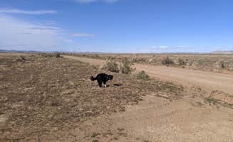 Greg L.'s photo of camping with pets at BLM 144 Dispersed near Green River, UT