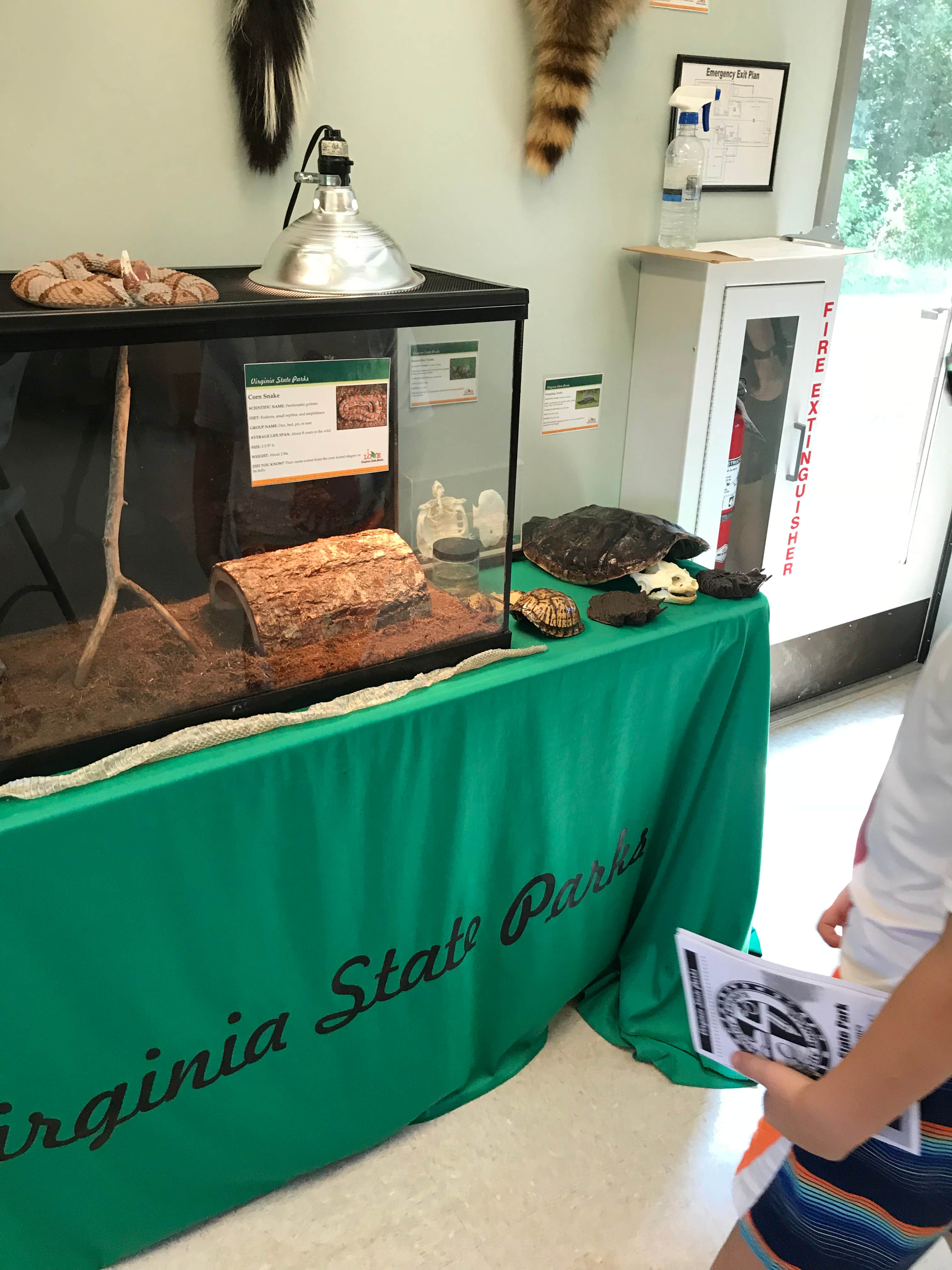 Camper-submitted photo at Powhatan State Park Campground near Broad Run, VA