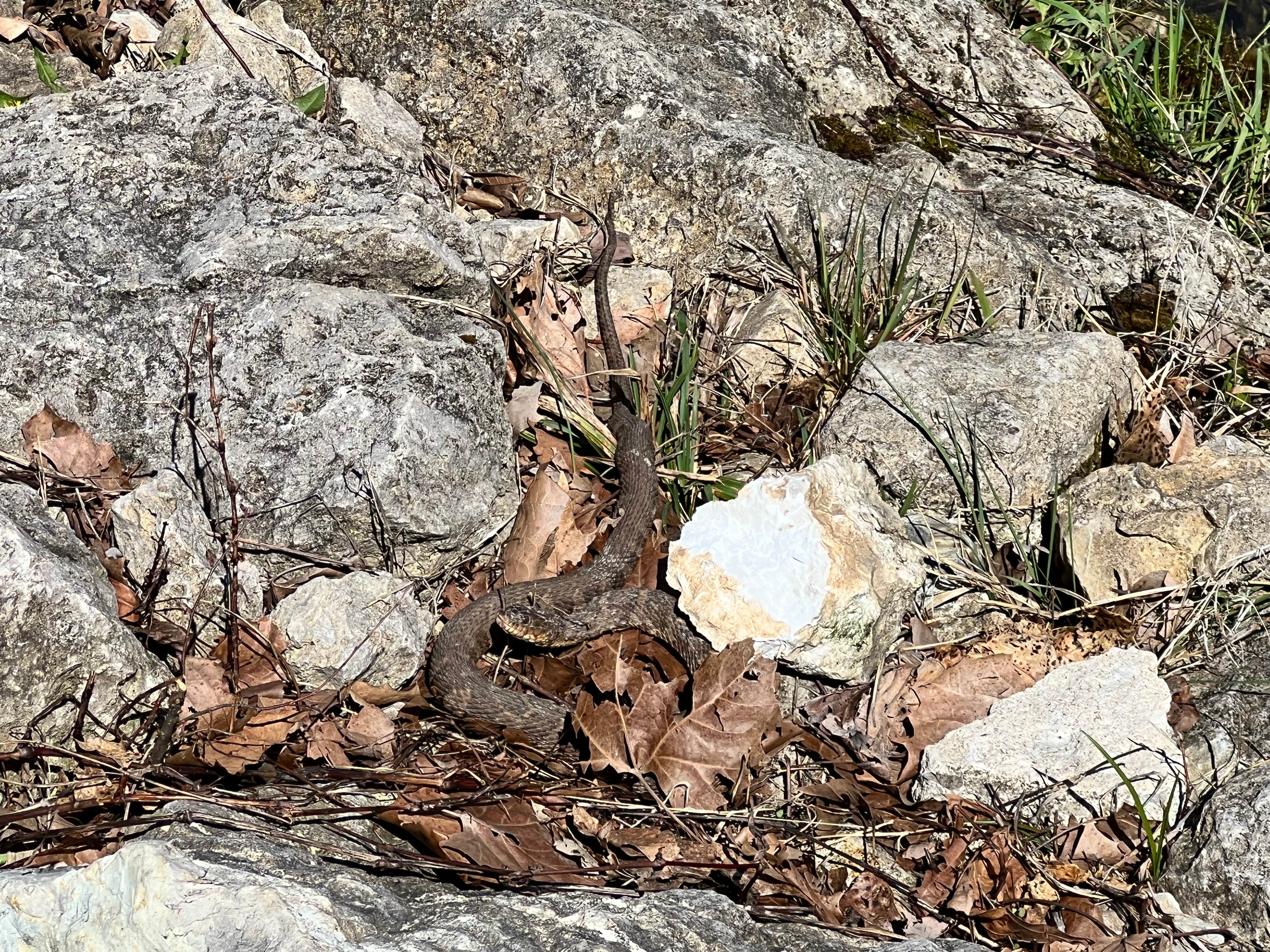 Camper-submitted photo at Bennett Spring State Park Campground in Missouri