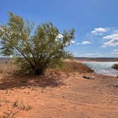 Review photo of Sand Hollow State Park Campground by stephanie , April 13, 2022