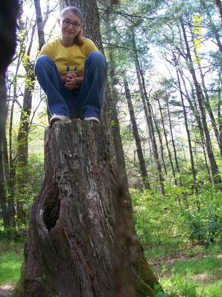 Camper-submitted photo at Pisgah National Forest Dispersed near Candler, NC
