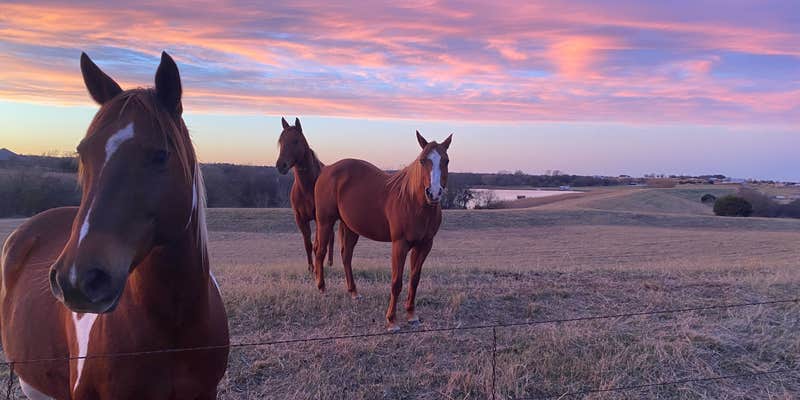 Camper submitted image from Rockin L Ranch campgrounds