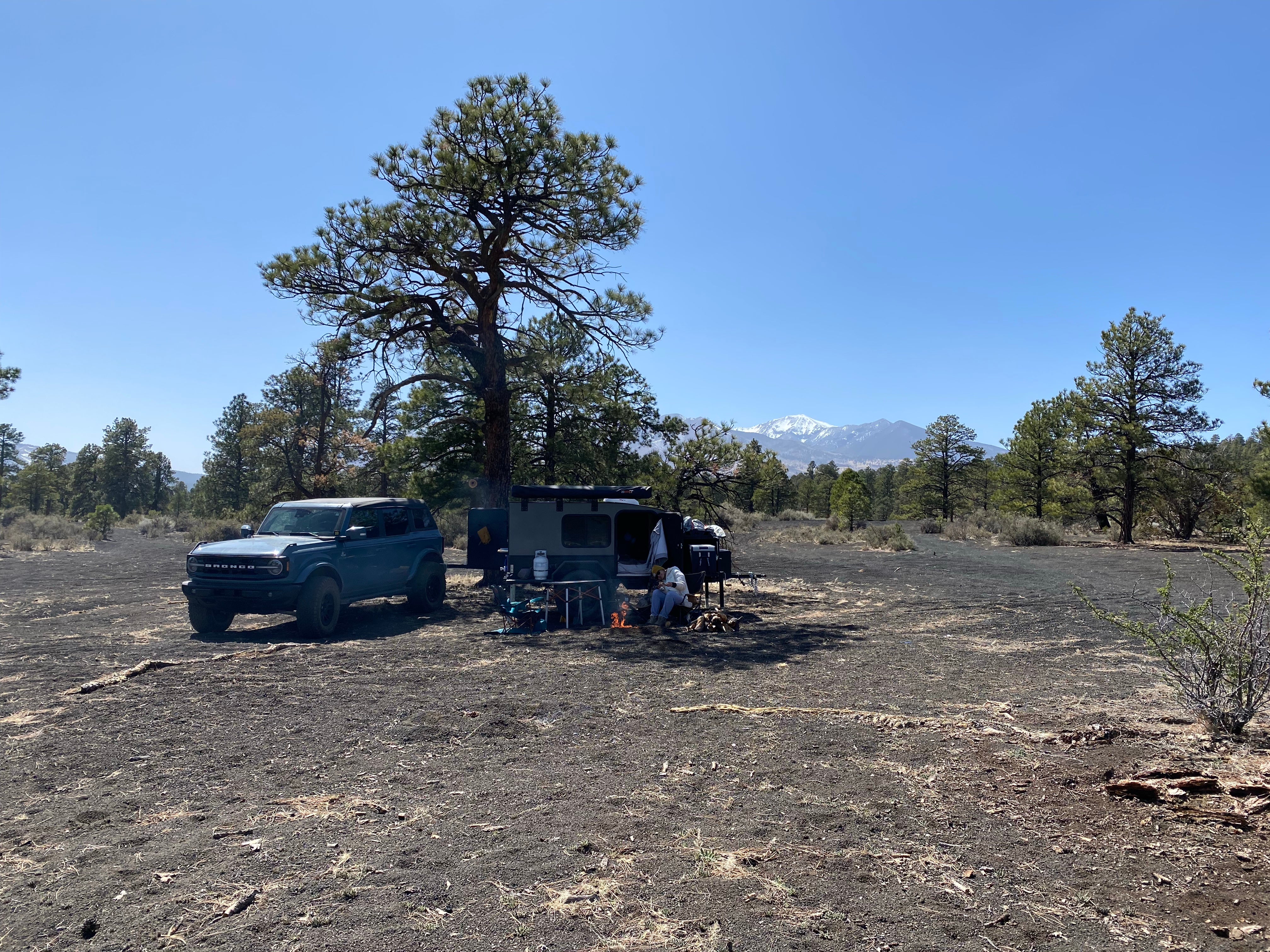 Camper submitted image from Cinder Hills Off Highway Vehicle Area - 5