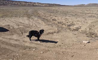 Greg L.'s photo of camping with pets at SITLA 145 - Dispersed near Green River, UT