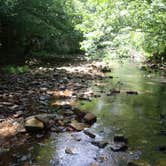 Review photo of Redbud Campground at Bell Smith Springs by Jamie B., July 12, 2018