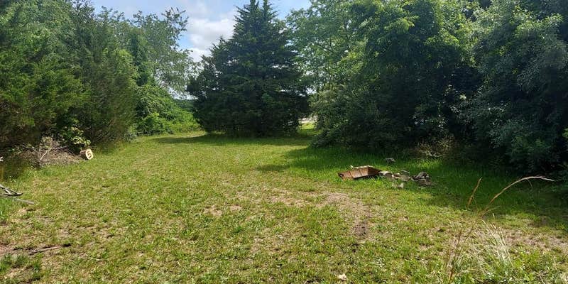 Camper submitted image from Blueberry Morning