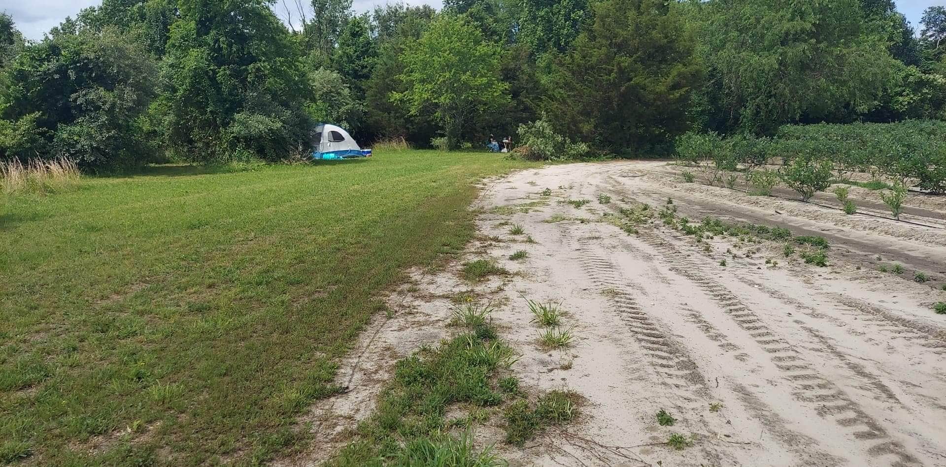 Mike S.'s photo of tent camping at Blueberry Morning near Fort Washington, PA