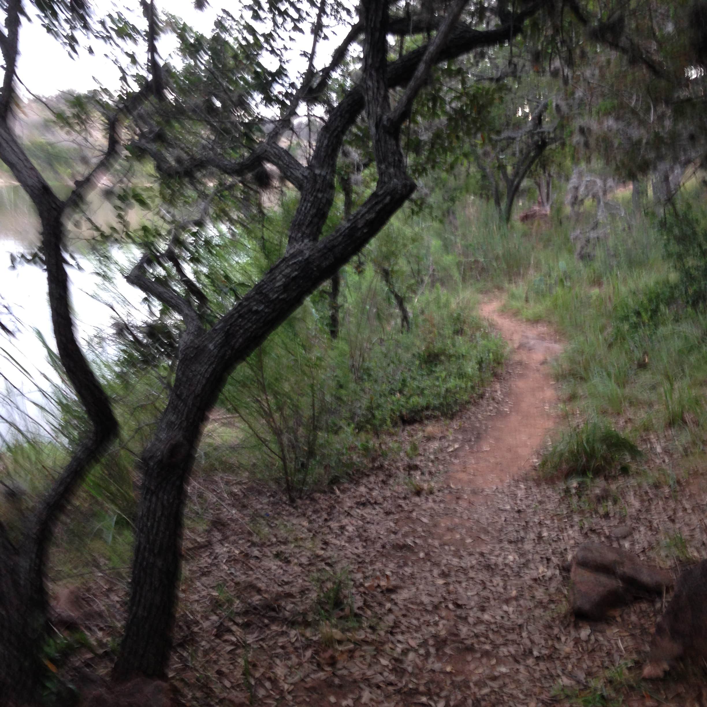 Camper submitted image from Inks Lake State Park Campground - 5