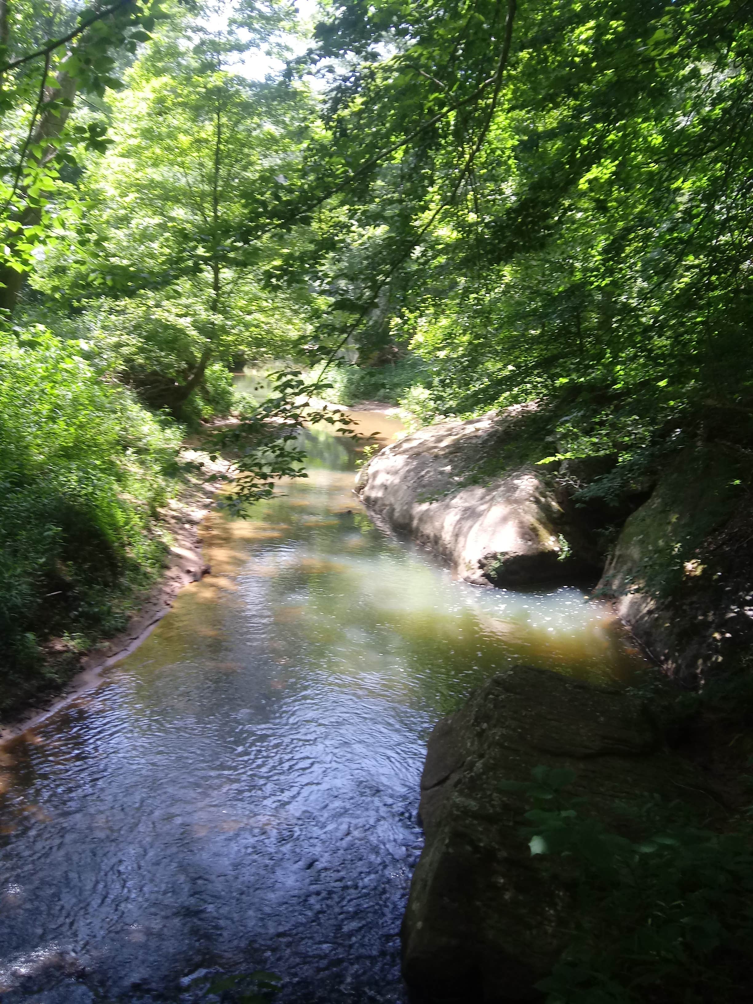 Camper-submitted photo at Redbud Campground at Bell Smith Springs in Illinois