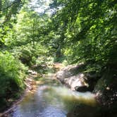 Review photo of Redbud Campground at Bell Smith Springs by Jamie B., July 12, 2018