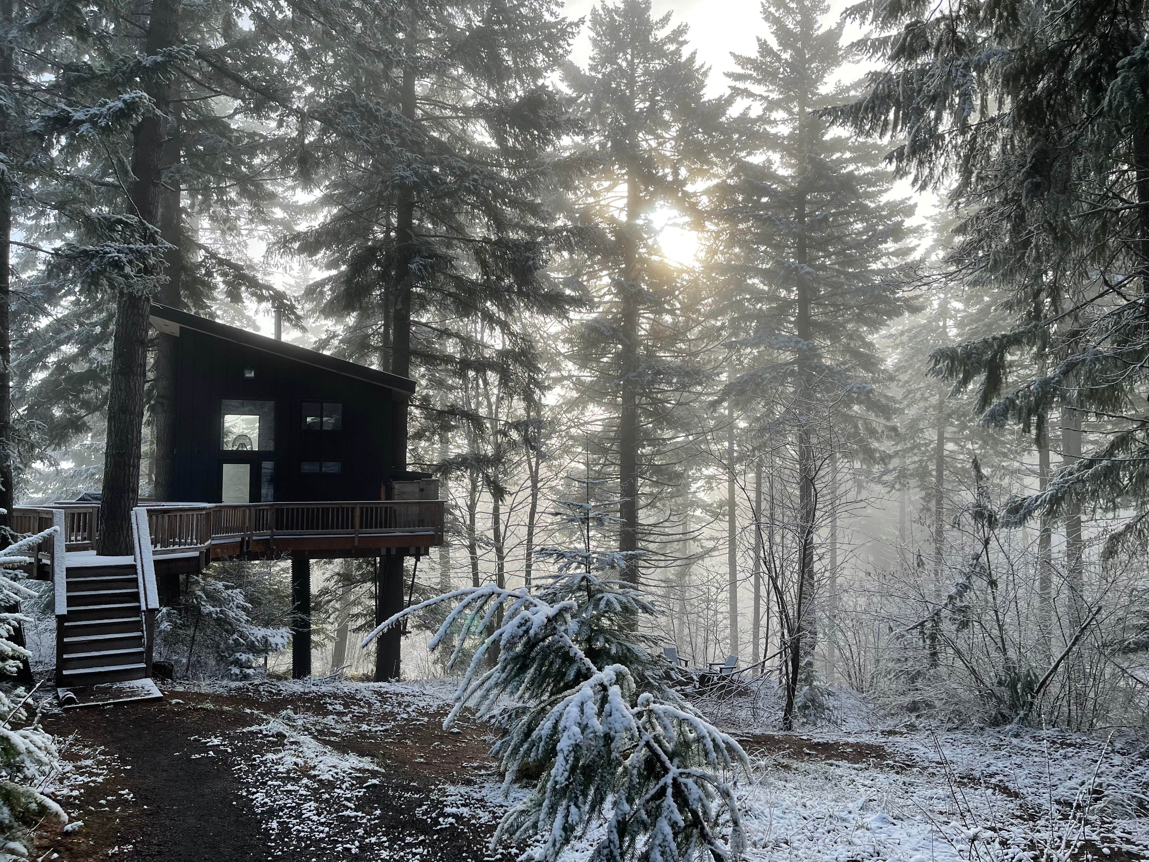 Marty J.'s photo of a cabin at The Klickitat Treehouse near Wishram, WA