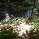 Review photo of Redbud Campground at Bell Smith Springs by Jamie B., July 12, 2018