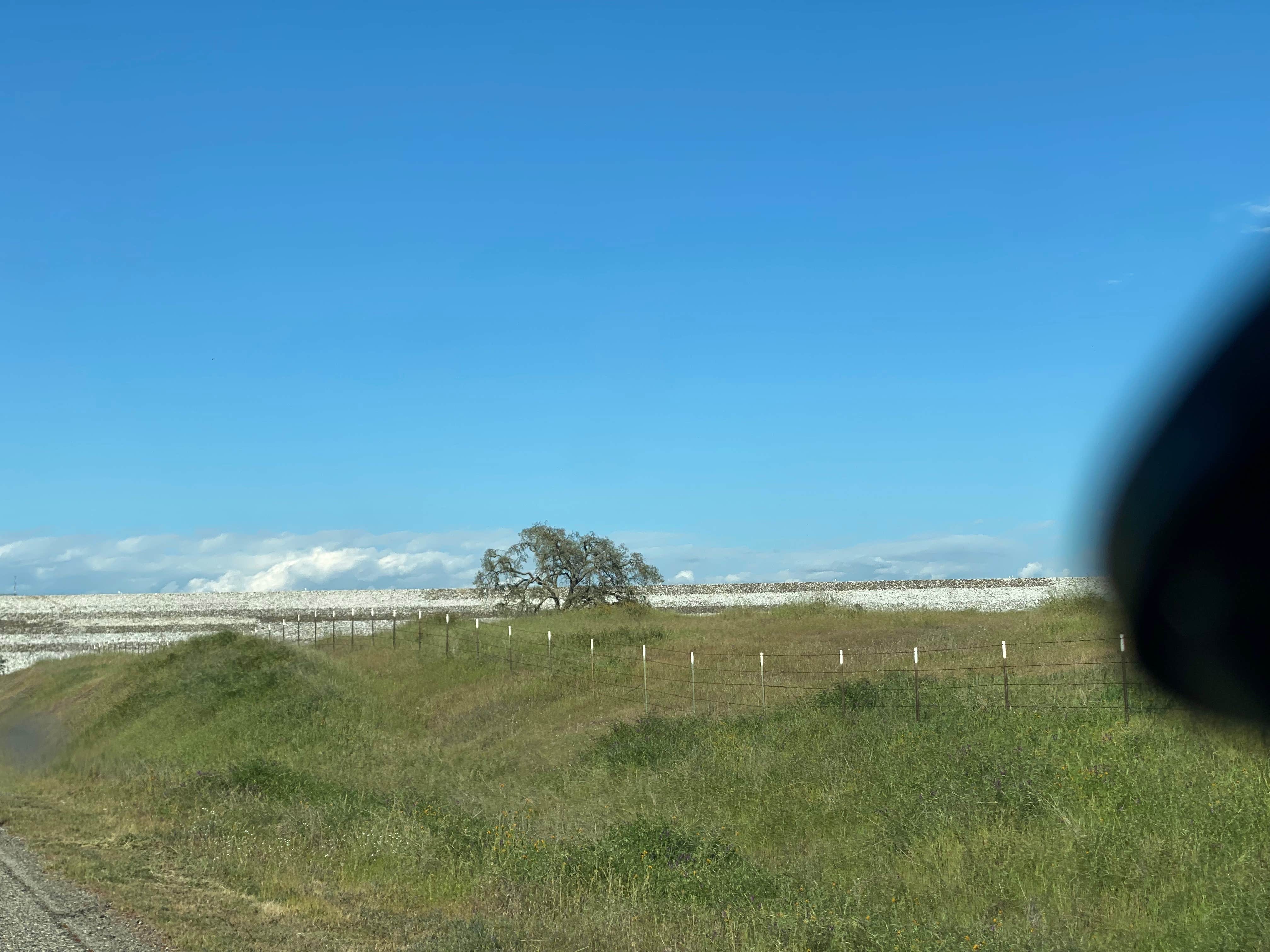 Camper submitted image from Hidden View Campground — Hensley Lake - 3