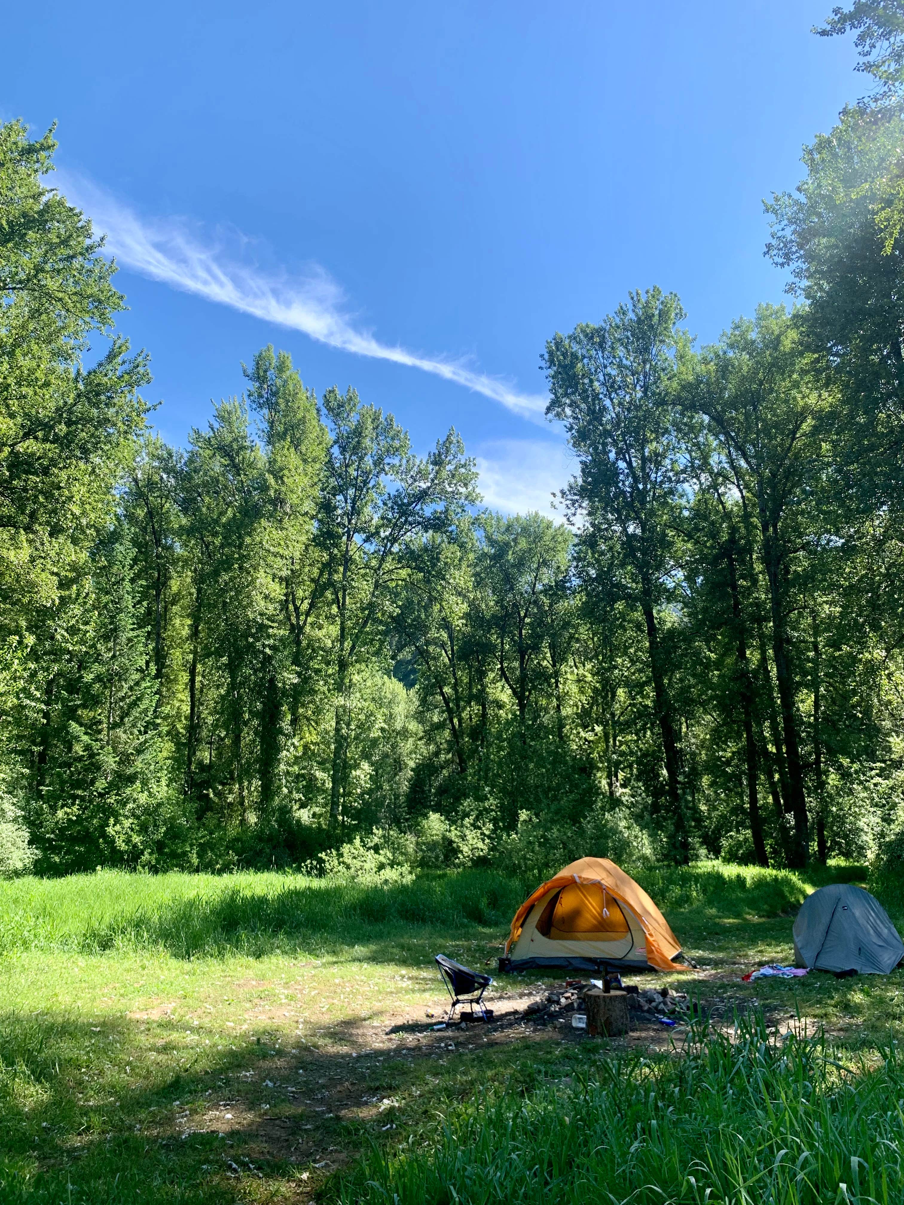 Lane P.'s photo of tent camping at Breakwater Campground near Sandpoint, ID
