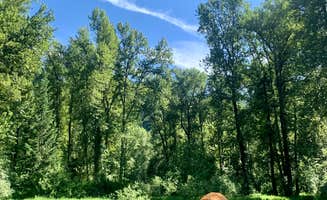 Lane P.'s photo at Breakwater Campground near Kellogg, ID