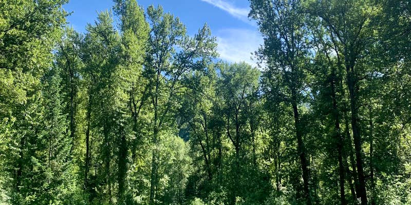 Camper submitted image from Breakwater Campground