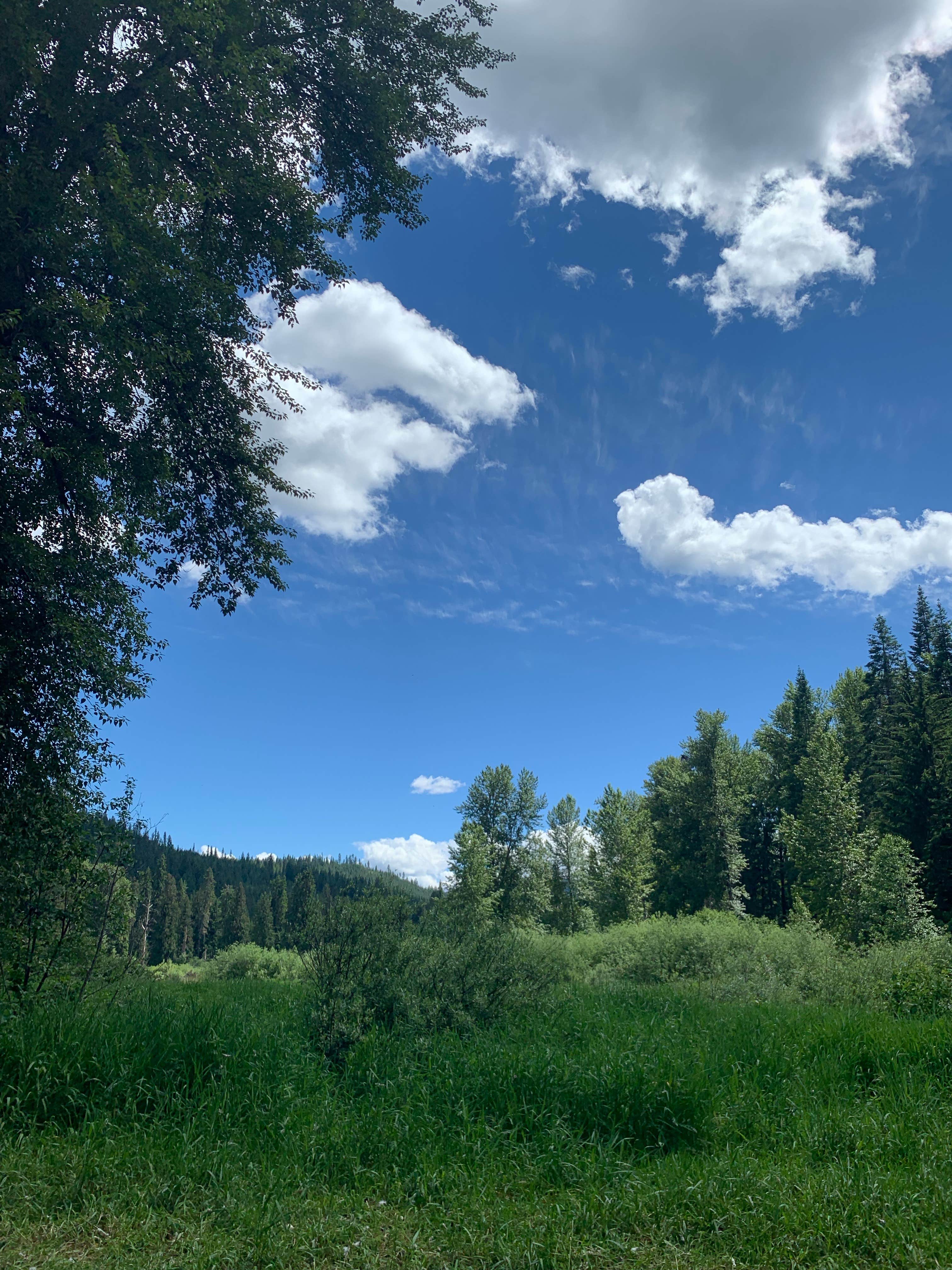 Camper-submitted photo at Breakwater Campground near Athol, ID