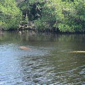 Review photo of Flamingo Campground — Everglades National Park by Matthew N., April 13, 2022