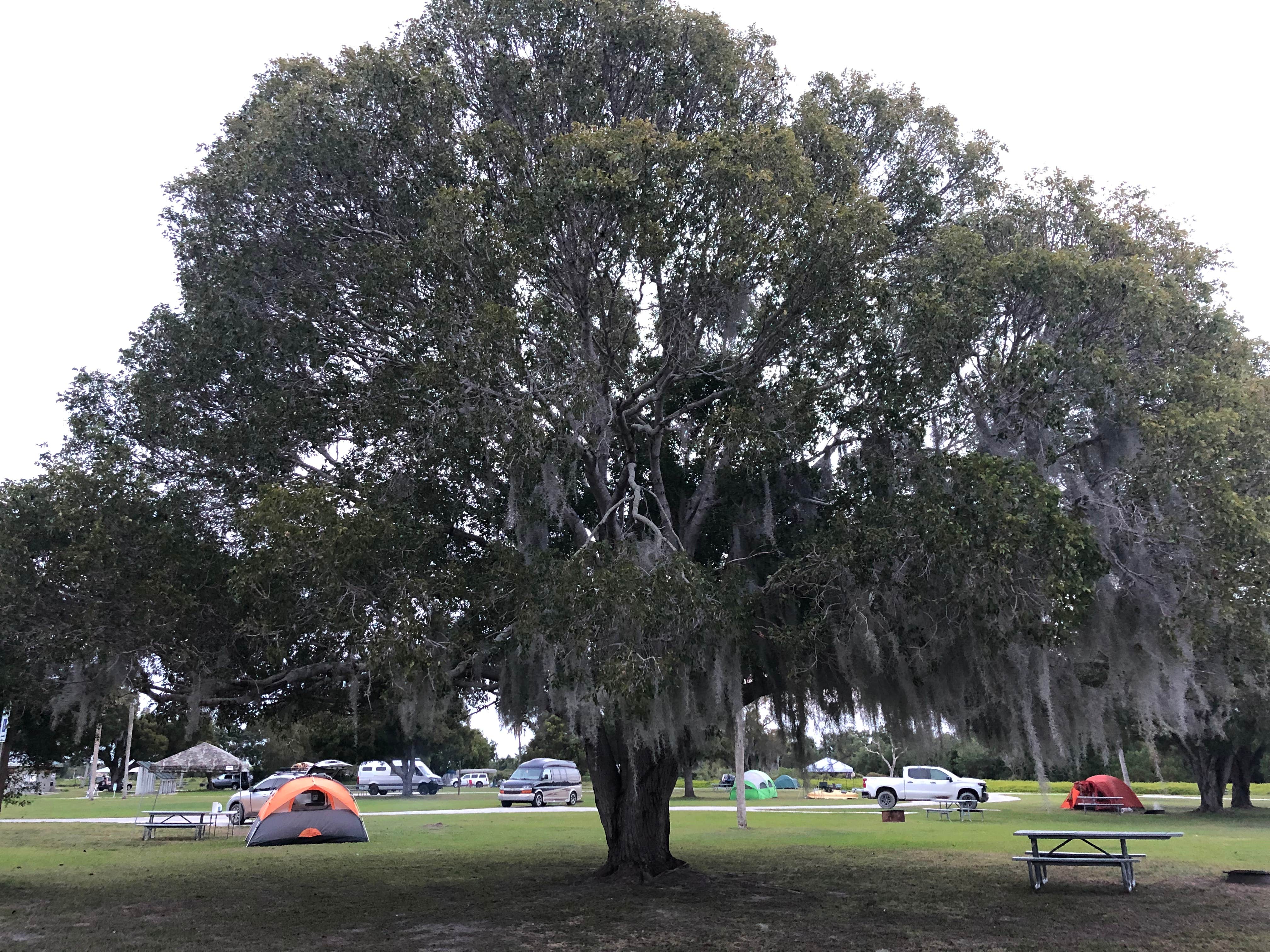 Matthew N.'s photo at Flamingo Campground — Everglades National Park near Marathon, FL