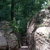 Review photo of Redbud Campground at Bell Smith Springs by Jamie B., July 12, 2018